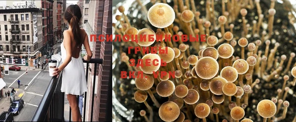 шишки Алексин